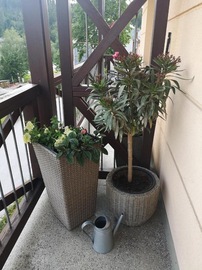 Kozel 1 Apartment Janske Lazne Luaran gambar